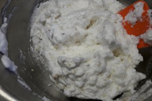 Desert prajitura cu ciocolata, nuca de cocos si crema de vanilie