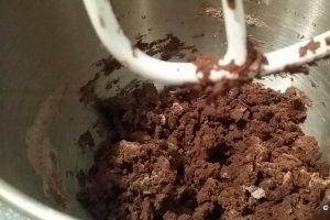 Desert pasca cu ciocolata, nuci si alune
