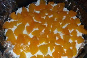 Desert tort diplomat cu compot de piersici- reteta nr. 400