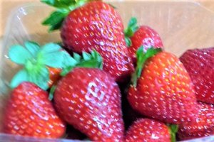 Aperitiv cu branzeturi si fructe