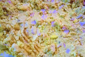 Aperitiv oua umplute pe pat de ciuperci (fara maioneza)