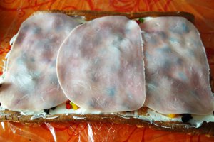Aperitiv rulada Primavara