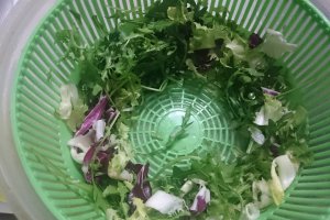 Salata Magnifica