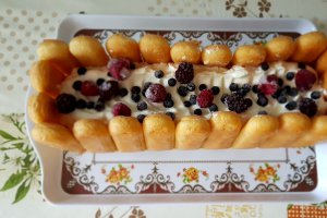 Desert cu piscoturi si fructe de padure