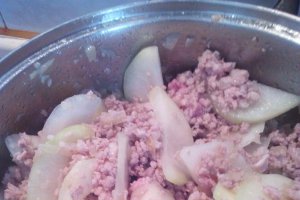 Mancare de gulii cu carne tocata