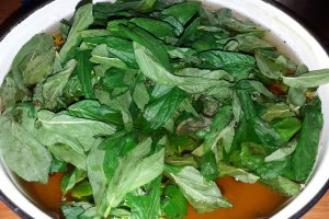 Sirop de menta