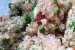 Salata cu quinoa, avocado si grapefruit-7
