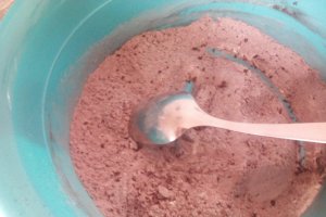 Desert prajitura cu ciocolata, bilute de cocos si crema de vanilie