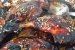 Pulpe de rata caramelizate-3