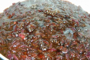 Dulceata de ceapa I