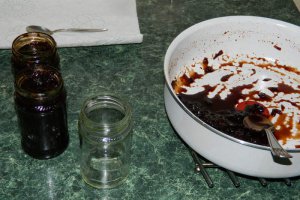 Dulceata de ceapa I