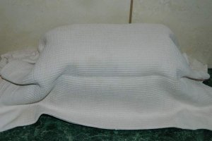 Dulceata de ceapa I