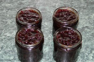 Dulceata de ceapa II