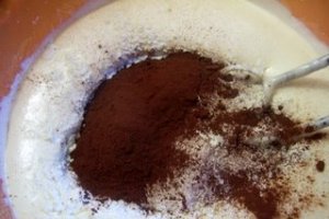 Tort cu mousse de ciocolata si nuci