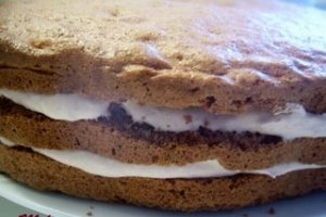 Tort cu mousse de ciocolata si nuci