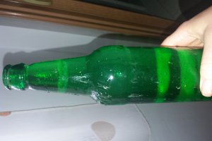 Pui pe sticla cu ostropel