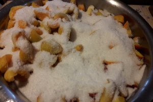 Gem de caise, piersici si nectarine