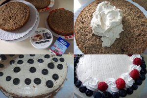 Desert tort Anca