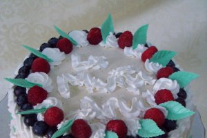 Desert tort Anca