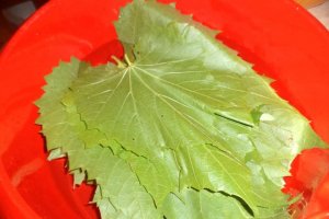 Sarmalute in foi de vita de vie pe pat de dovlecei, asezonate cu condimente Delikat cu ingrediente 100% naturale