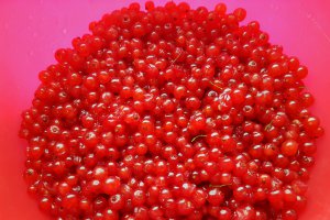 Sirop de coacaze rosii