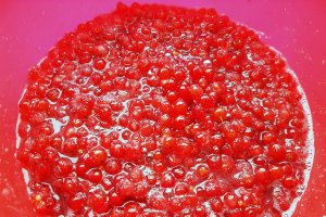 Sirop de coacaze rosii