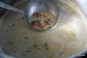 Supa crema de fasole proaspata fava