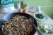 Tarta cu ciuperci si carne tocata-4