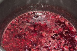 Pulpe de gasca cu piure, mere caramelizate si sos de zmeura