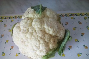Ciorba de conopida