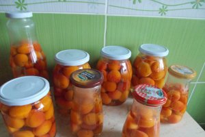 Compot de caise