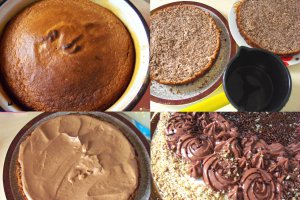 Desert tort Cristina
