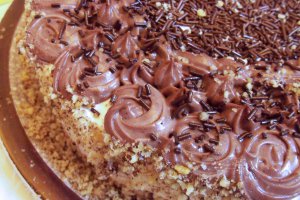 Desert tort Cristina