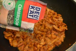Lasagna cu foi proaspete de casa, pui si galbiori