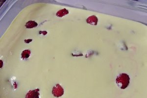 Desert inghetata cu mango si zmeura