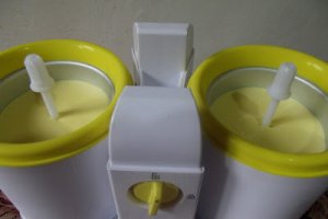 Desert inghetata cu mango si zmeura