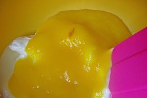 Desert inghetata cu mango si zmeura