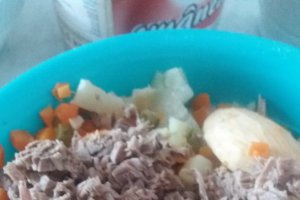 Salata de boeuf
