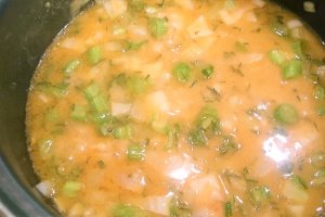 Tocanita de pui cu oregano