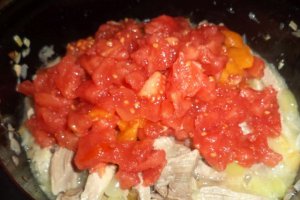 Curcan in sos de rosii cu cuscus aromat