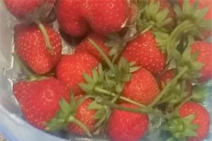 Desert pana cotta cu lapte si capsuni