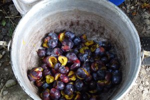 Gem de prune cu coaja