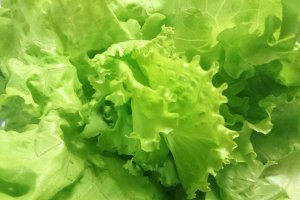 Salata cu calamar