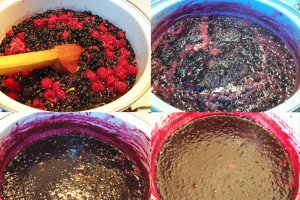 Dulceata din fructe de padure