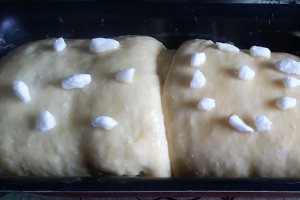 Desert briosa Hokkaido (Japon)