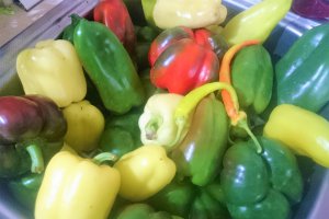 Ciorba de pui cu zucchini
