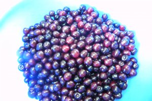 Dulceata de cirese amare