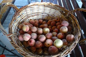 Crema de piersici rosii sau nectar