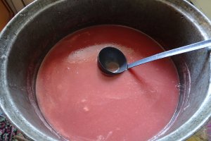 Crema de piersici rosii sau nectar