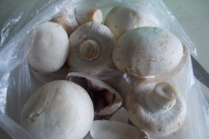 Reteta de tocanita de ciuperci champignon, cu ceapa si usturoi